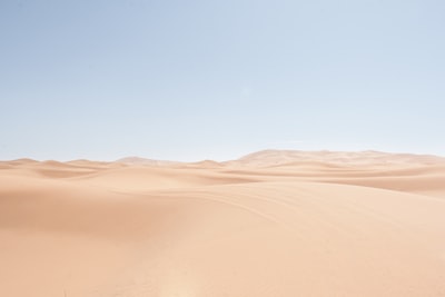 沙地景观